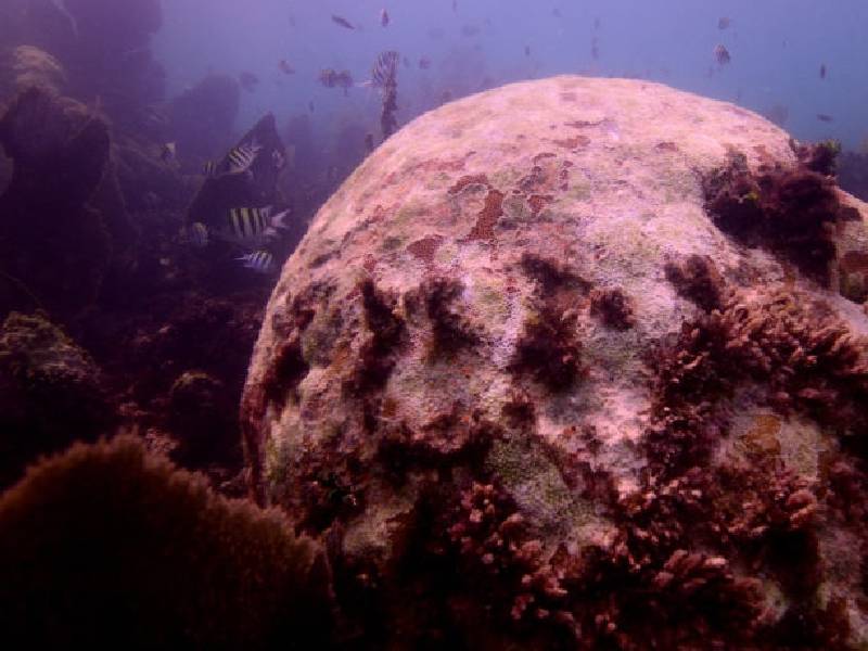 Vierten miles de familias aguas negras a acuífero en Bacalar