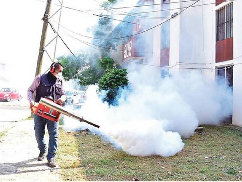 dengue