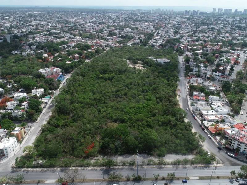 Aprueban recurso para plan de manejo de ombligo verde; no lo ejercen