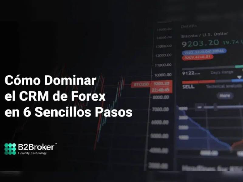 Cómo dominar Forex CRM en sólo 6 sencillos pasos