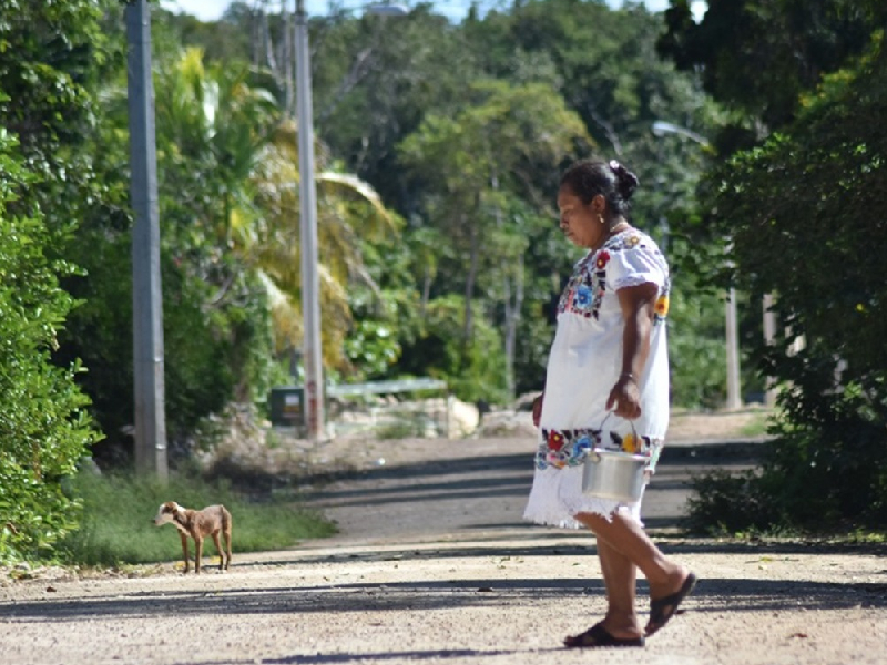 Información sobre la salud en lenguas indígenas, indispensable para salvar vidas