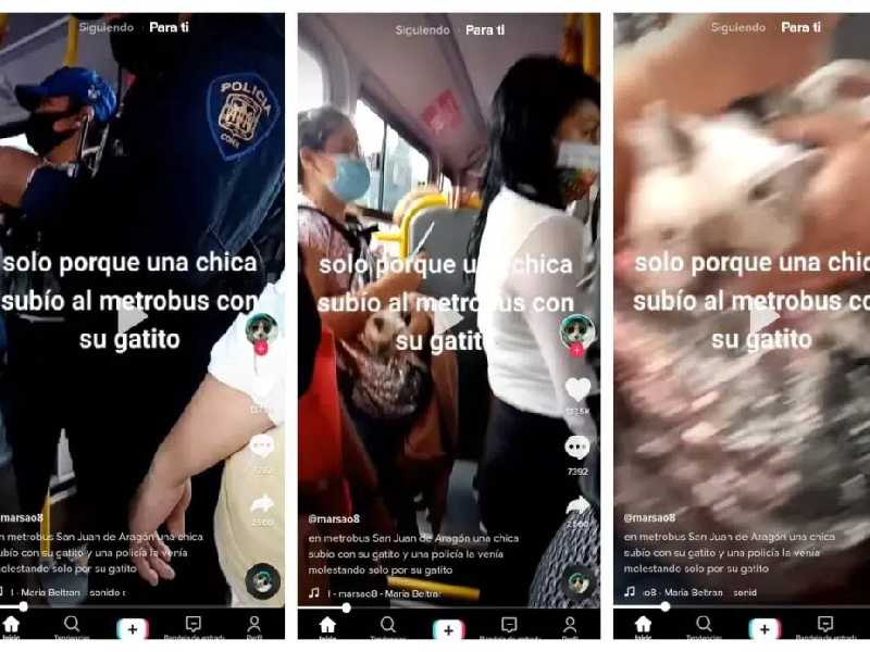 VIDEO: Policía trata de sacar de Metrobús a mujer... por traer un gatito