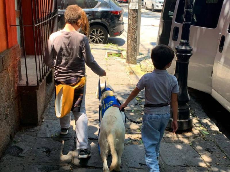 perro
