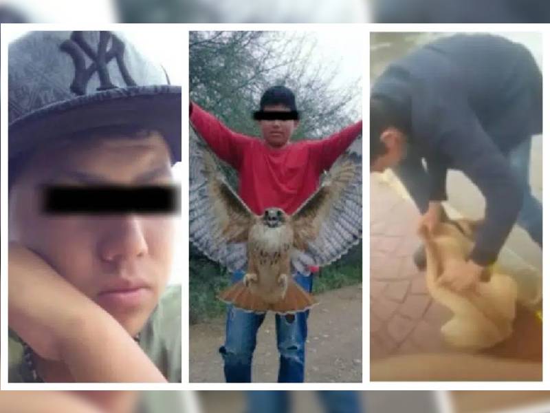 Video. Denuncian a joven que aventó a perrito en un arroyo