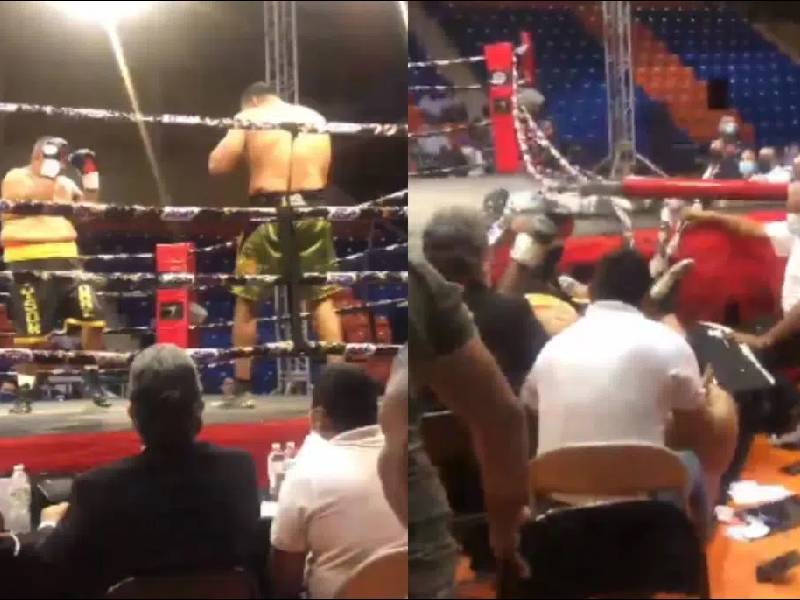 boxeadores