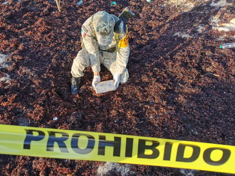 Sedena asegura presunta droga en playas de Cozumel