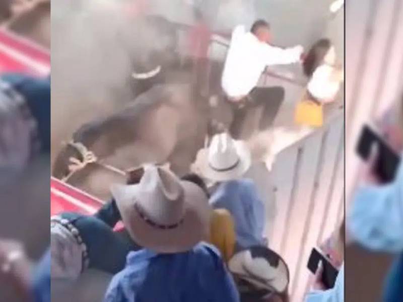 Toro escapa de una plaza, aplasta vallas y arremete contra dos mujeres