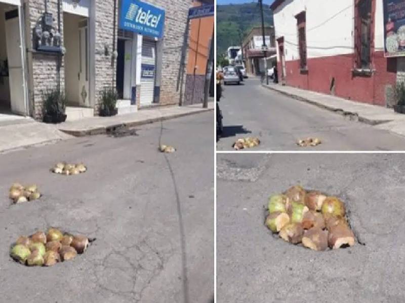Fotos. Tapan baches con cocos (Ocurrió en México)