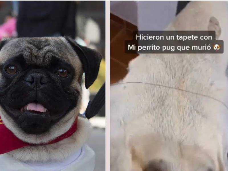 tapete