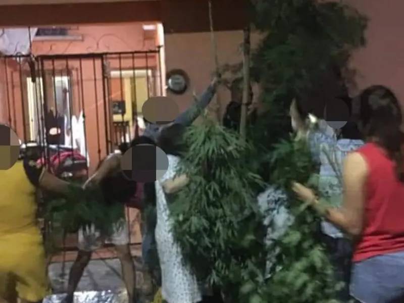 LA UNIÓN HACE LA FUERZA: VECINOS DEFIENDEN DE LA POLICÍA PLANTA DE MARIHUANA