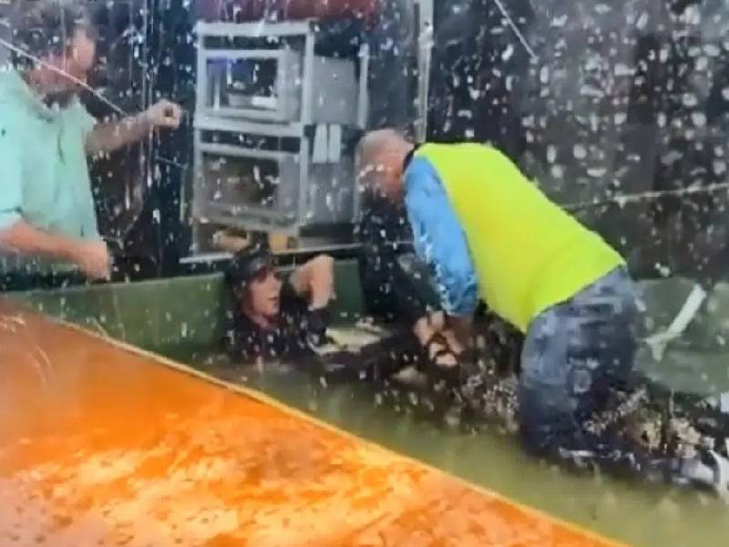 Video. Fiesta infantil en centro de reptiles termina con ataque de caimán