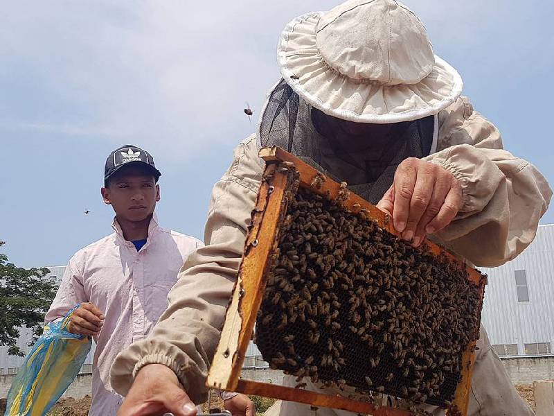 agroquímicos