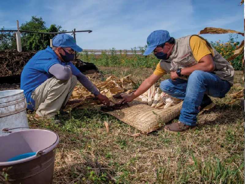 Apoyo al campo garantizó alimento en pandemia: Sader