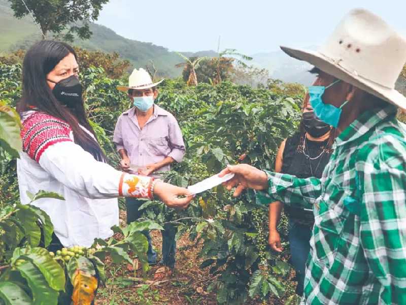 Puebla atiende a los municipios afectados por Grace