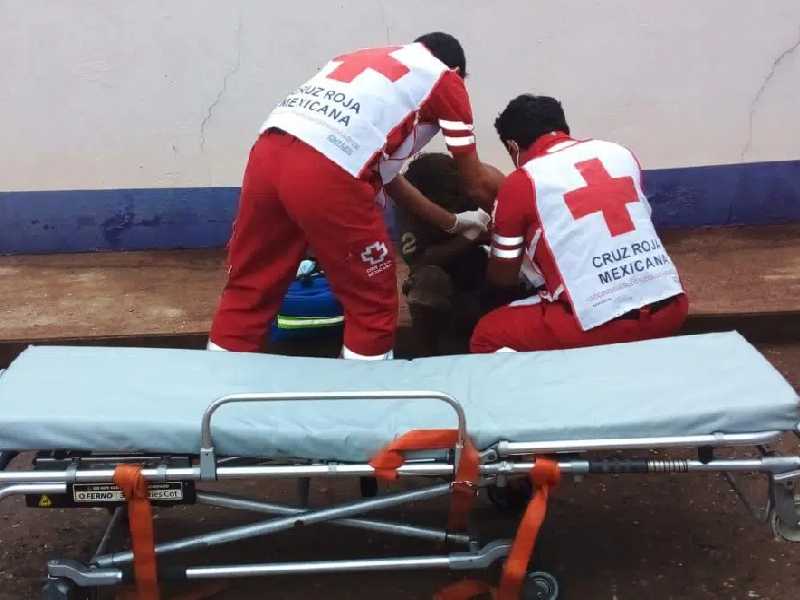 ¡Imágenes fuertes!: Indigente pierde el brazo tras ataque de un cocodrilo