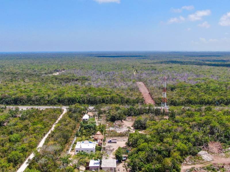 tres ciudades reprueban em movilidad