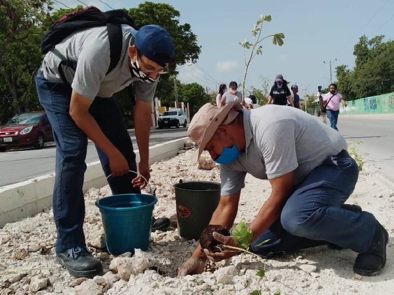 Impulsa Aguakan reforestación
