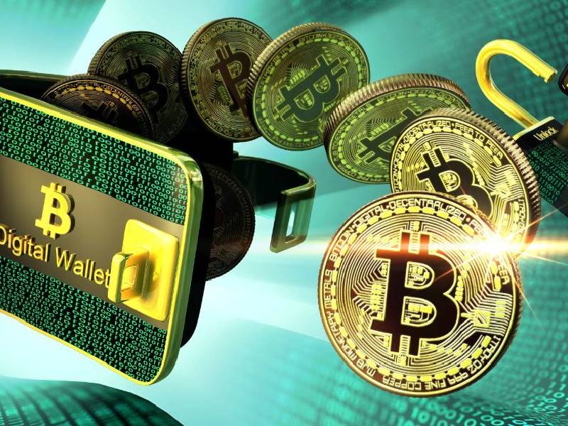 Cuál es el panorama de crecimiento y regulación en el mercado de criptomonedas