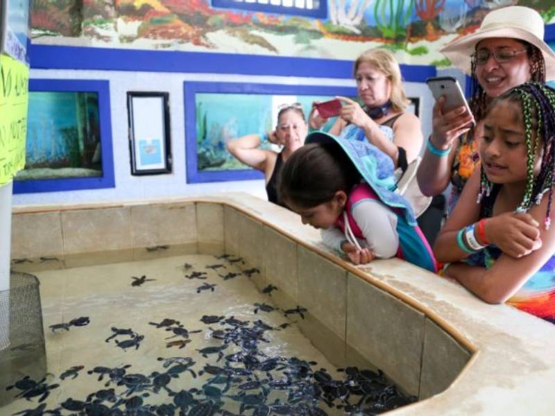 Mobiliario de Tortugranja en Isla Mujeres termina en la basura