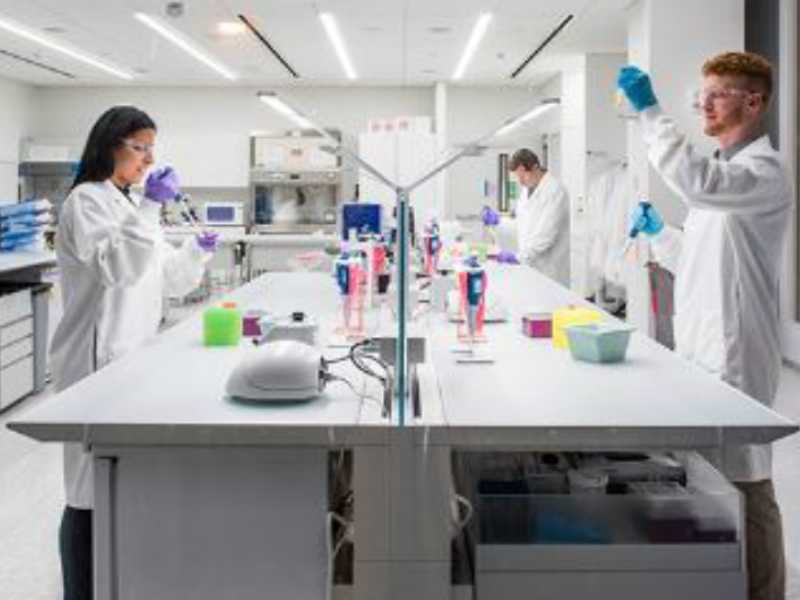 Insabi y farmacéuticas dialogan sobre abasto de medicinas