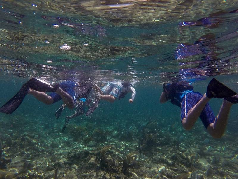 Recaudan por visitar áreas naturales protegidas unos seis mdp