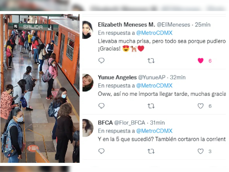 ¡Héroes! Detienen circulación de Línea B del Metro para rescatar a perrito