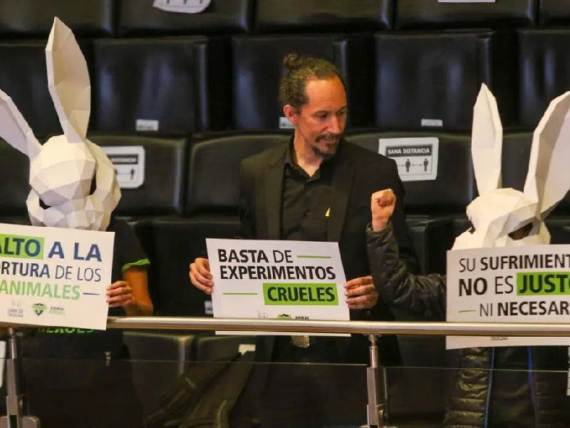 ÔÇ£Es un día históricoÔÇØ: aprueban cárcel y multas para quien use animales en pruebas cosméticas