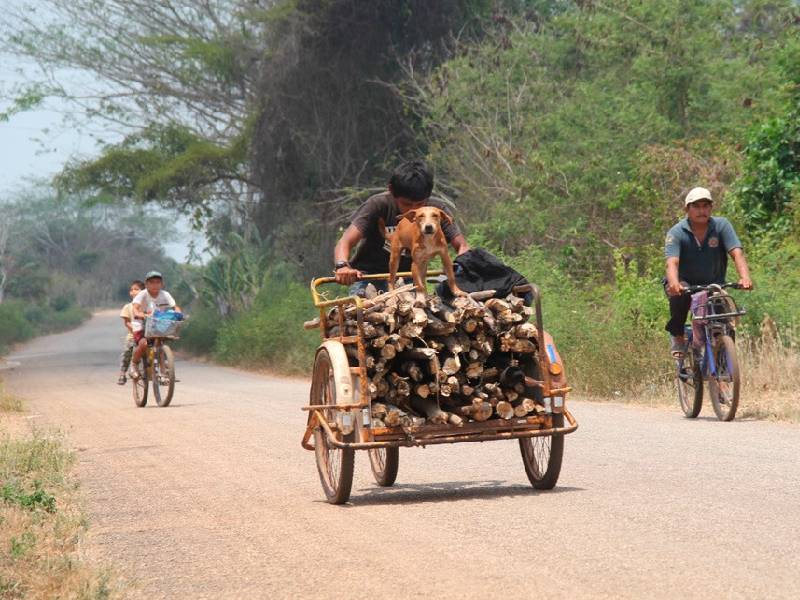 Autoridades de seis comunidades indígenas carrilloportenses piden mejora vial