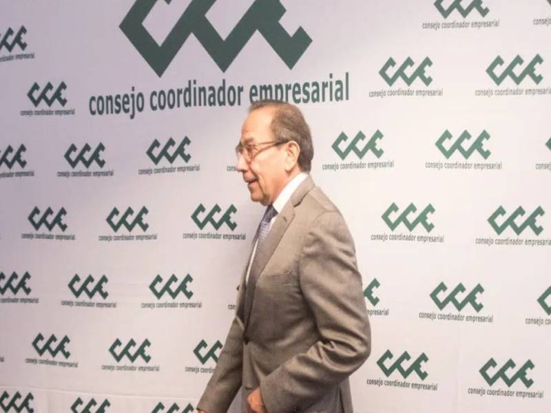 IMEF se convierte en órgano asesor del CCE