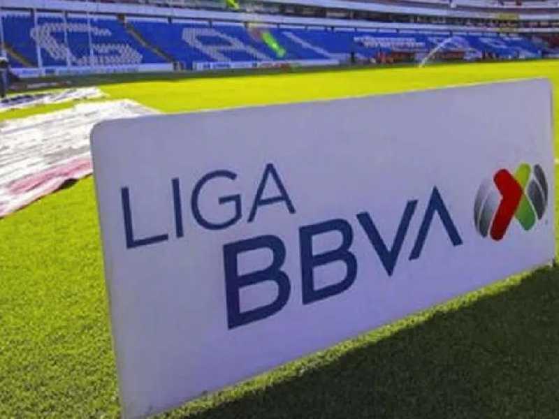 Liga MX: ¿Dónde y cuándo ver los partidos de la jornada 14?