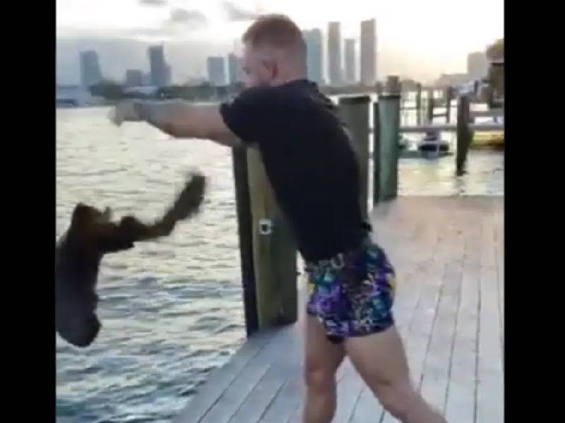 Conor McGregor es criticado tras devolver un tiburón al mar