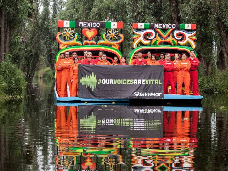 Greenpeace presenta 3 documentales