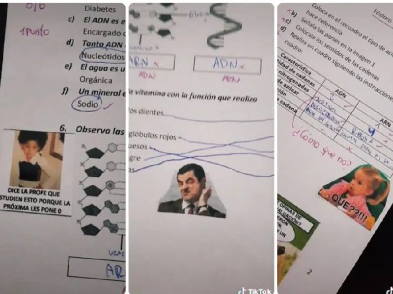 Maestra que califica con memes se vuelve viral