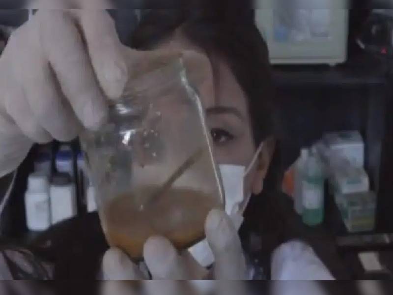 Científica ¡mata! de hambre a bacteriasÔÇª logra que se coman un clavo