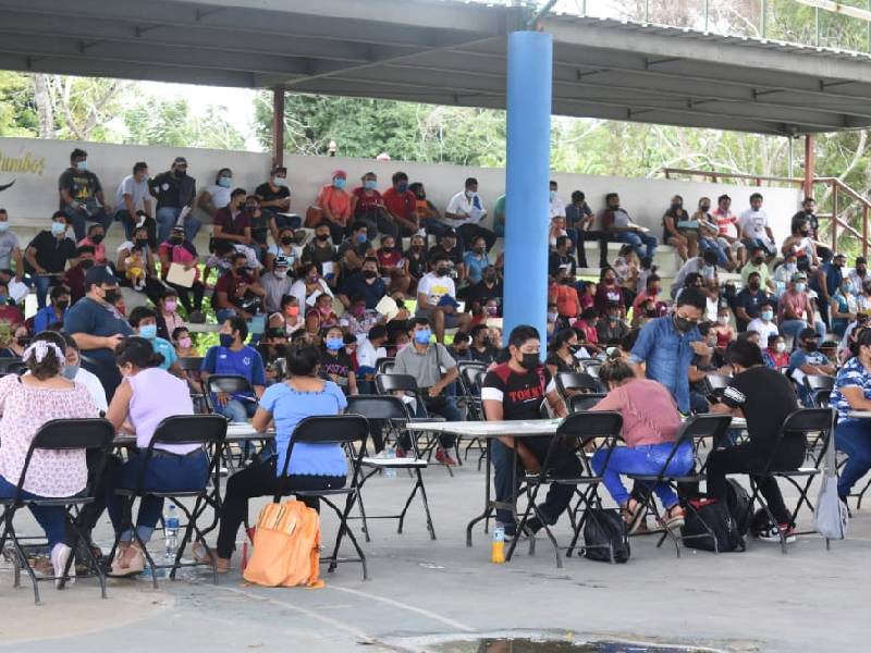 Campaña de vacunación