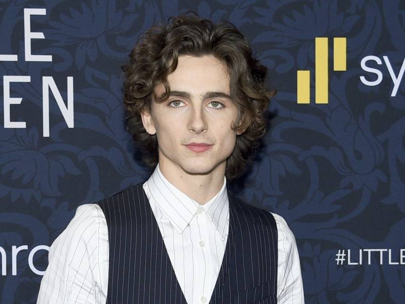 Timothée Chalamet como Willy Wonka