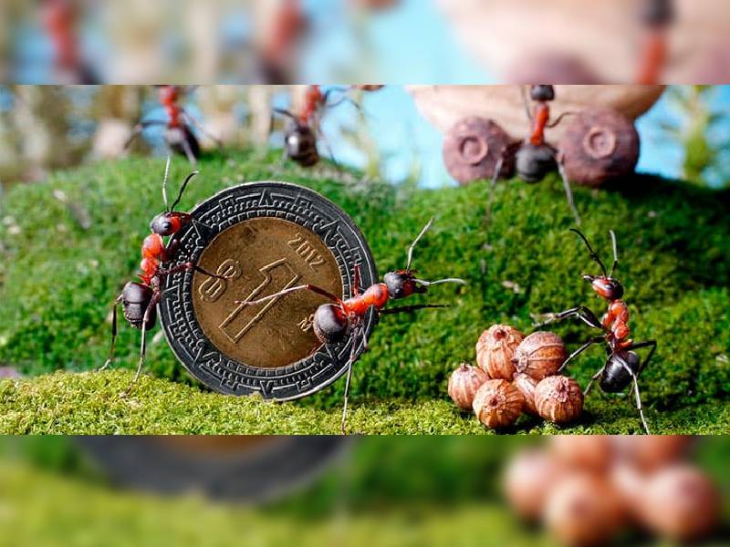 Familias aplican "gastos hormigas" mensuales