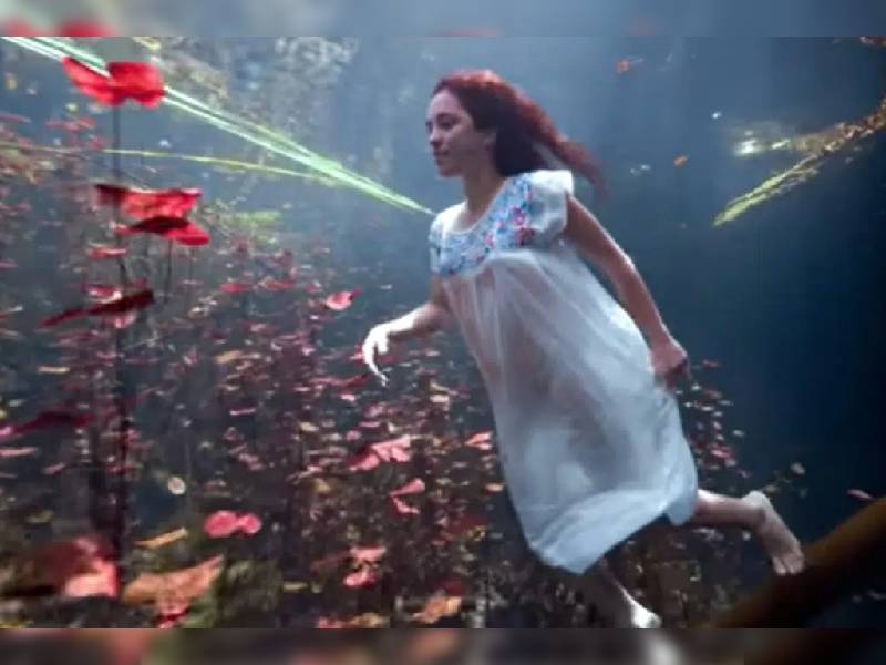 ¡Yo soy cenote!: Mexicana gana premio #CreateCOP26 con cautivador video