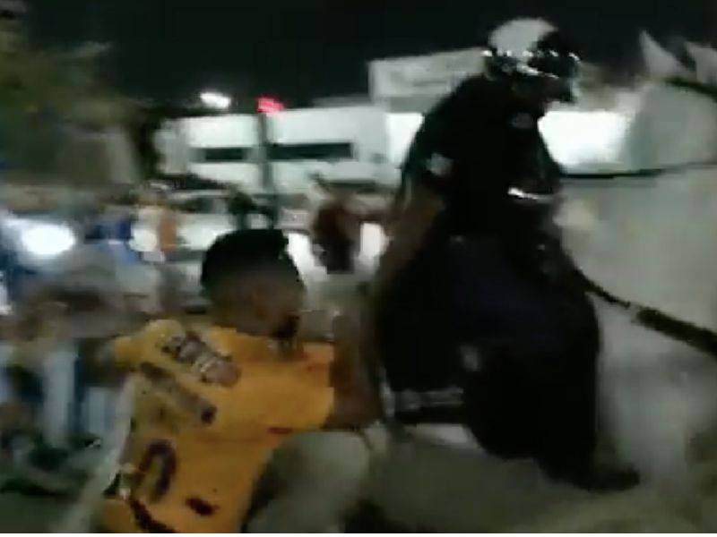 aficionados de los Tigres