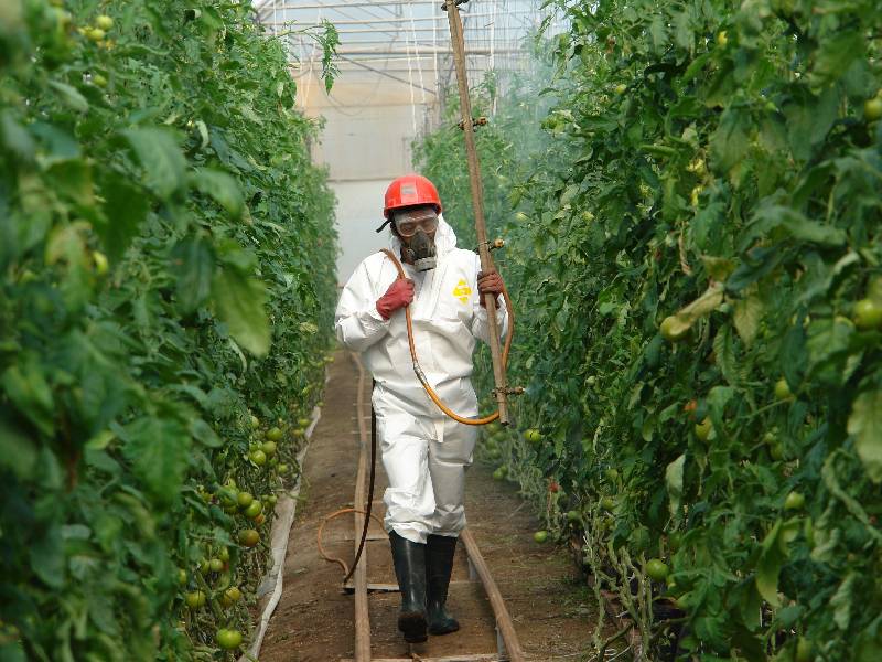 Capacitan a productores