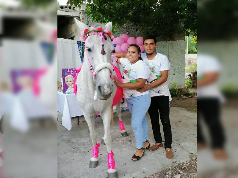 Una pareja le realiza un baby shower a su yegua