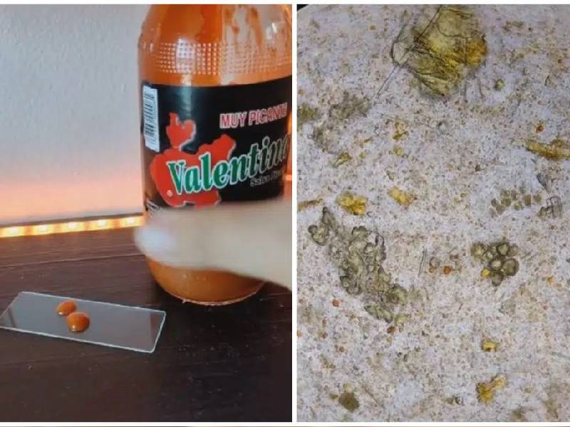 TikToker analiza la salsa Valentina con microscopio; ¡pareciera que está llena de porquerías!
