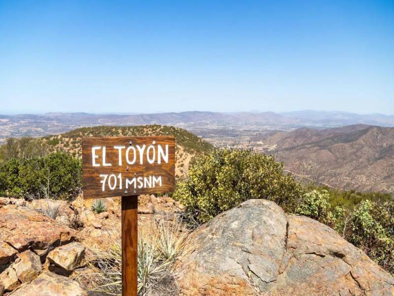 Una nueva forma de disfrutar la Ruta del Vino
