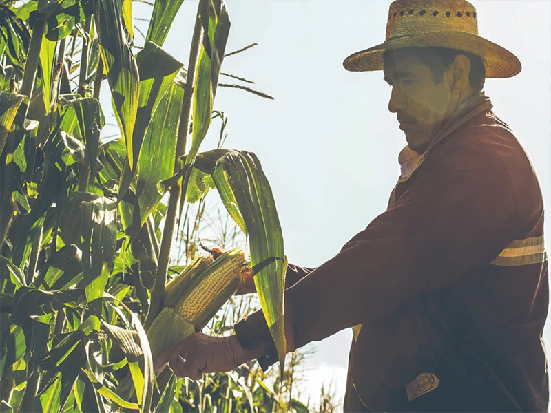 Acuerdan reforzar desarrollo rural sostenible: SADER y AFD