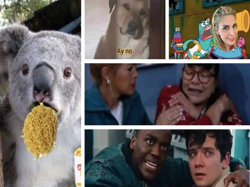 ¡Con las sopas no Profeco!: Los mejores memes del adiós a las Maruchan