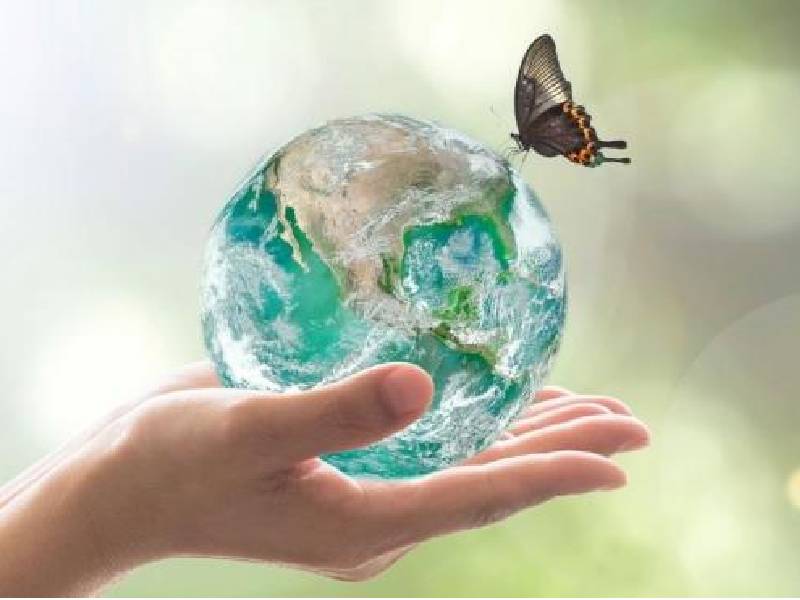 Avanza México en el financiamiento de los compromisos ambientales