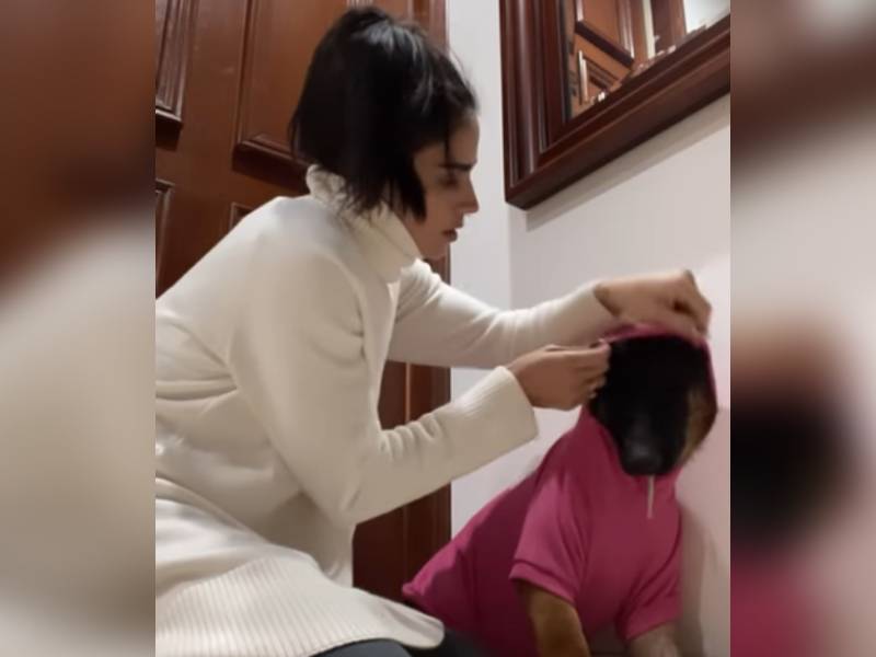 No merecías morir así: Bárbara de Regil ante la perdida de Nala