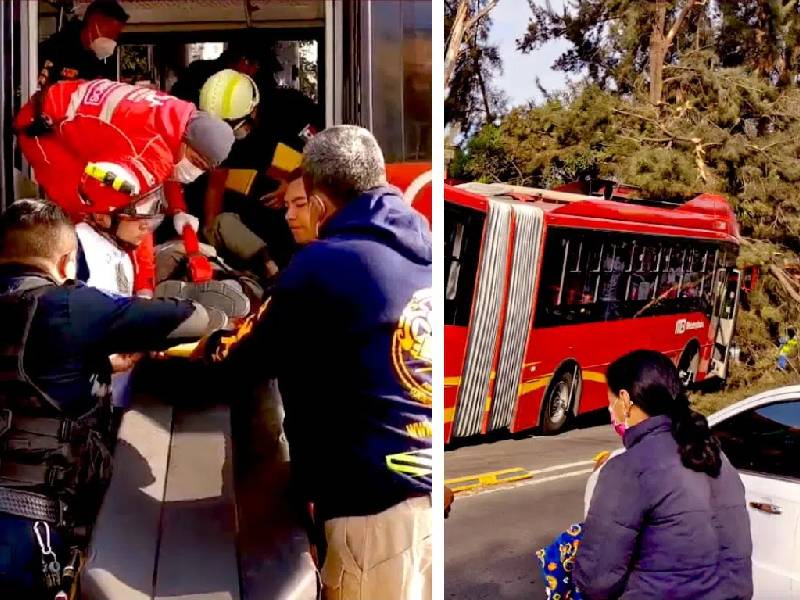 CDMX, Metrobús de la Línea 6 choca contra árbol; hay varios heridos