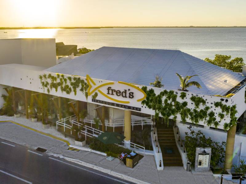 Las mejores fiestas decembrinas son en FredÔÇÖs