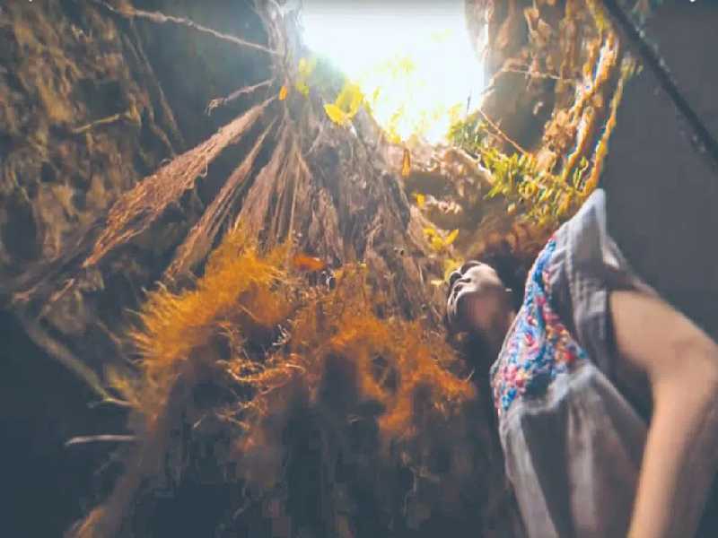 Reconocen a mexicana por unir clima y arte